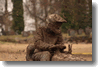 pornainen_2010_241.gif