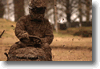 pornainen_2010_245.gif