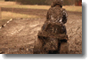 pornainen_2010_261.gif