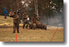 pornainen_2010_262.gif