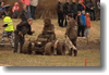 pornainen_2010_273.gif
