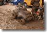 pornainen_2010_278.gif