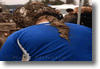 pornainen_2010_286.gif