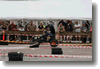 ekenas09_38.gif
